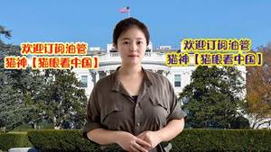 【猫神秀201016】亲爱的朋友们，欢迎给猫神点赞啦！生活不但有忙碌，还有美食、围棋和秀场