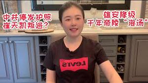 雄安降级，千年帝陵因为“泡汤”，中共停止签发护照，网传崔天凯叛逃美国？