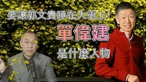 单伟建是什么来历   [中文字幕]｜KO3316