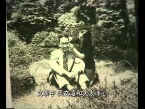 文化大革命纪实录像（禁片）