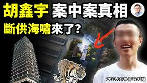 胡鑫宇案中案的真相，我们领会到什么？大麻烦来了、断供海啸要来？（文昭谈古论今20230130第1201期）