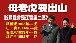 母老虎要出山？彭丽媛将走向前台，她会是江青第二吗？彭丽媛属虎，江青属虎，毛泽东属蛇，习近平属蛇。2021.11.16NO1012#彭丽媛#习近平#二十大#江青