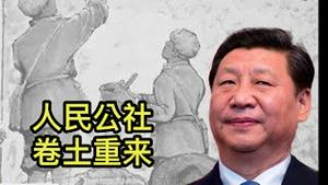 危急！人民公社已悄然复活！不打倒习近平，中国人就完了（一平论政2021/7/20)