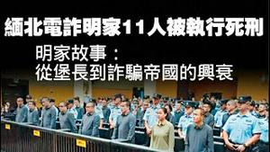 缅北电诈明家11人被执行死刑。明家故事：从堡长到诈骗帝国的兴衰。2026.01.29NO3284#缅北#电诈#明家