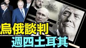 「涛哥直播间」川普直接威胁下 ⋯ 泽伦斯基接受与普京面对面谈判（0511/25）#川普 #特朗普 #trump #马斯克  #互惠关税 #tarif