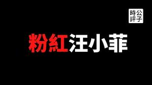 【公子时评】大S闹离婚？小粉红附体！汪小菲骂台湾人是汉奸！从小被党国洗脑的井底之蛙，大多是自私自利的两面人...