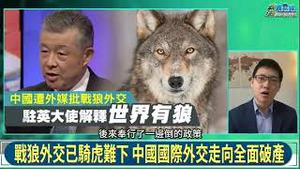 【公子时评】公子沈访谈：中美新冷战已开打，习近平要称帝！战狼频繁出动！第三次世界大战前夕的全球格局（「政经最前线」首播，主持人：张宏林）