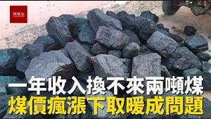 农民辛辛苦苦种粮食一年的收入，换不来两吨煤冬天取暖，真是可笑又可悲，煤价疯涨让很多老百姓冬天取暖成了问题