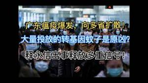 突发！广东瘟疫爆发，迅速扩散！又开始做核酸、隔离了！大量投放的转基因蚊子是元凶？释永信出事释放出多重信号！