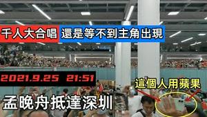 孟晚舟抵达深圳却不见身影，是班机延迟还是哪里出了问题|数千名爱国份子大合唱夹道迎接|现场抓拍到不少用苹果手机的假爱国者|国际新闻|洋品牌卖场水洩不通|身体行为最诚实|#华为公主#huawei