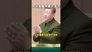 王毅出事了！与女祕书……被举报！