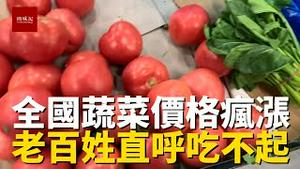 饥寒交迫？煤价暴涨后，全国蔬菜价格也疯涨，菜价超过肉价，百姓直呼吃不起，大通胀时代来了！
