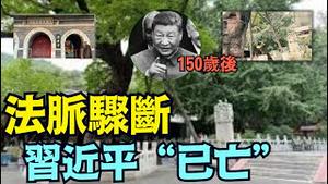 「涛哥直播间」9月15日潭柘寺「京西第一菩提」骤然折断 ⋯ 习近平完蛋！49年前潭柘寺「帝王香-银杏」枝干断折 毛泽东毙命「潭柘有两宝：菩提 帝王香」素有皇家寺院之说 （09/20/25）