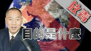 放毒的目的是什么  [中文字幕]｜KO3316