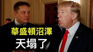 华盛顿「沼泽」天塌了❗️川普都是「阳谋」……