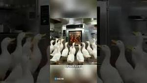 中国13亿底层人应该都看看这个视频！