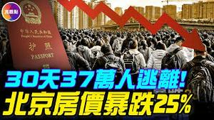 整个国家都在办护照！江浙沪广几十万人大逃离！中国经济七项指标同步恶化！ 2亿人靠打零工生存，中国沦为零工经济国！ 【2026民生实录】#真飞 #真观点