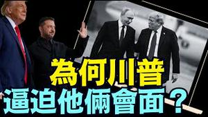 更坦白说：实在不成 我上！😊 ⋯ 并保证不会爆发三战！（08 20 25）#川普 #特朗普 #trump #putin #普京