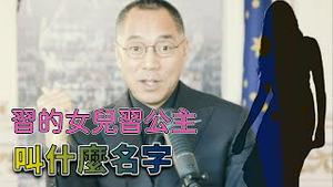 习公主的粉钻可以拿来配饭  [中文字幕]｜KO3316