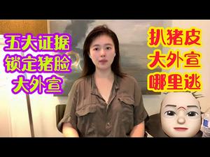 【猫神扒猪皮】扒皮猪妹大外宣，五大证据锁定你，假川粉假反共五毛哪里逃？猪皮下隐藏的读稿按摩女，你就是不见天日，猫爷也让你现行！