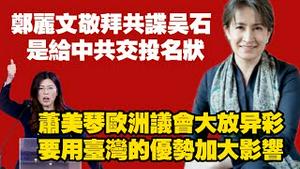 郑丽文敬拜共谍吴石，是给中共交投名状；萧美琴欧洲议会大放异彩，要用台湾的优势加大影响。2025.11.08NO3135