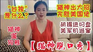 【猫神脱口秀-猫神遛狗熊】胡锡进叼盘，美军机逃窜，猫神出大招，完胜美国佬，为何中共一直强调“台独”？习近平2024发动五桶？