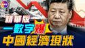 中国深陷螺旋通缩陷井！官方经济数据爆一重大危机！#真飞 #真观点