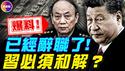 【爆料】张升民已辞职！军内传暗语，明天有巨变！内部人士：习近平必须妥协！？#真飞 #真观点
